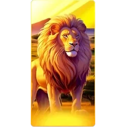 Lion
Safari